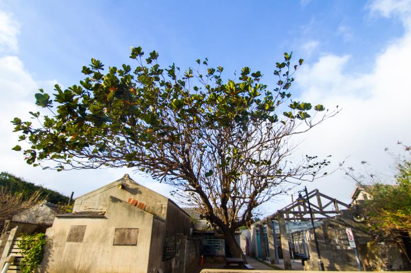 Duxingshi Village Cultural Park