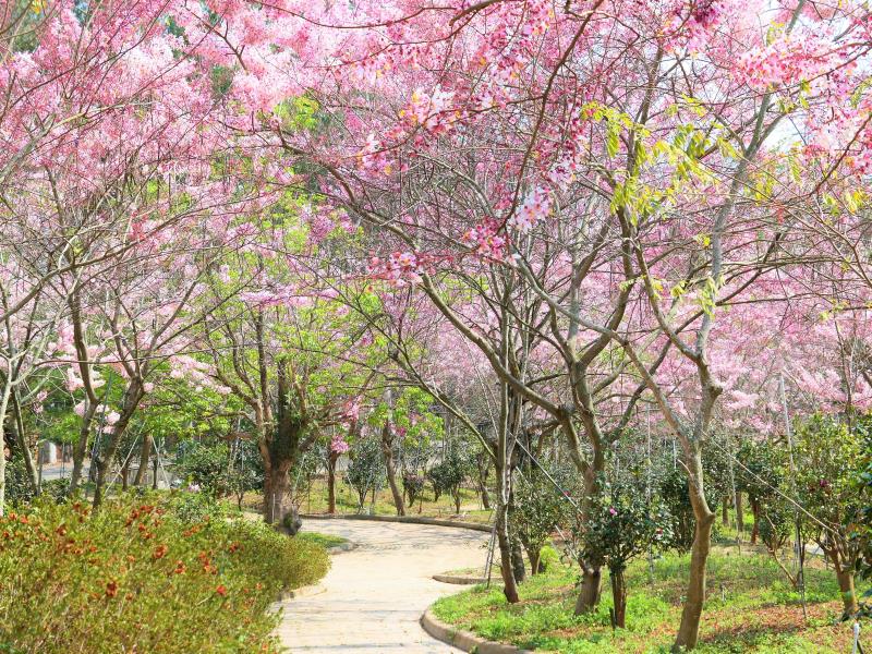 Shenwei Tiantaishan Monastery