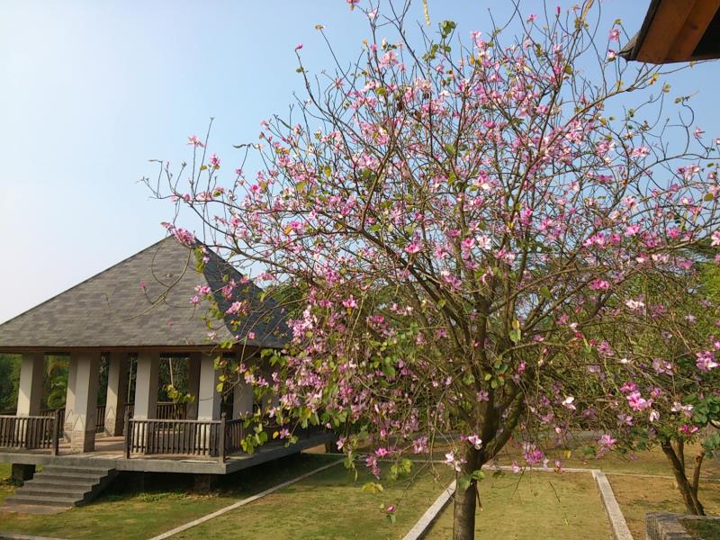 Dalukun Hot Spring Resort