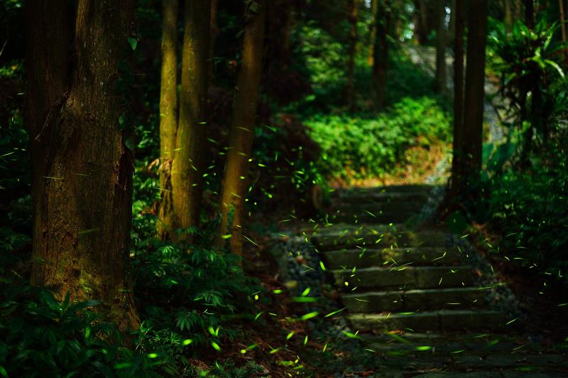 Eryanping Trail