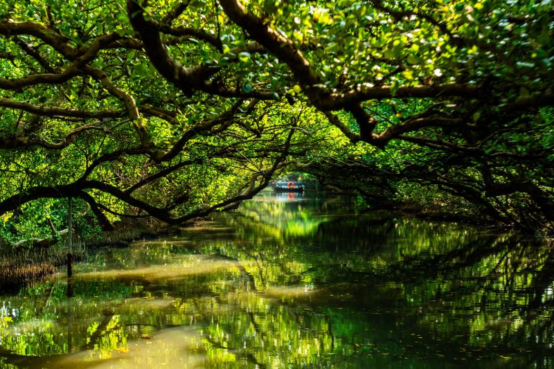 Sicao Green Tunnel