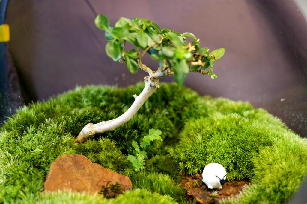 Micro-Landscape Research Institute