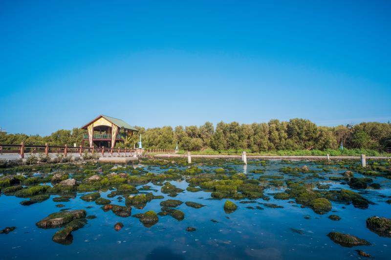 Right Bank Wetland Park