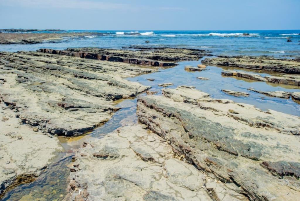 Magang Intertidal Zone
