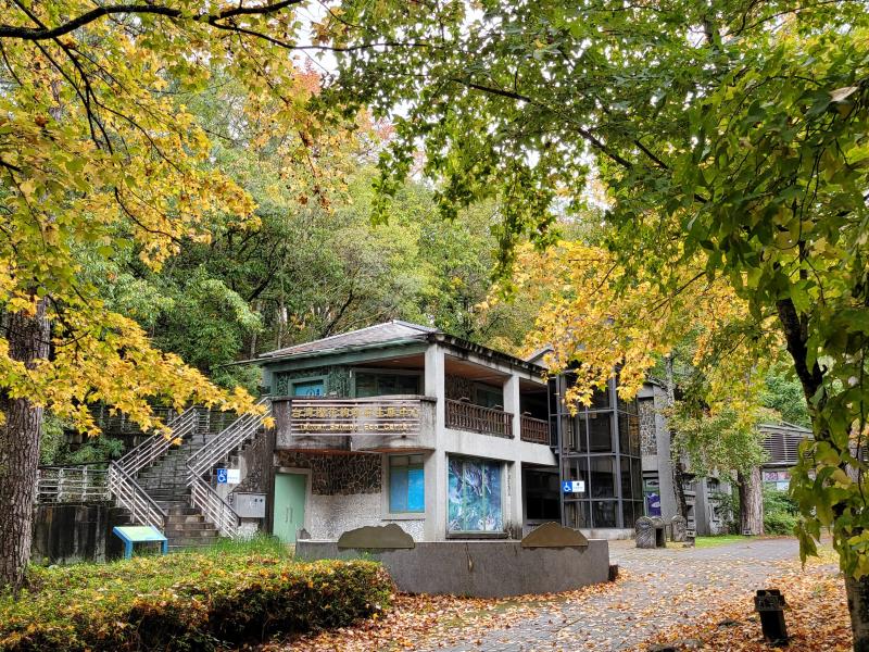 Explore Wuling with Formosan landlocked salmon, Shei-Pa National Park