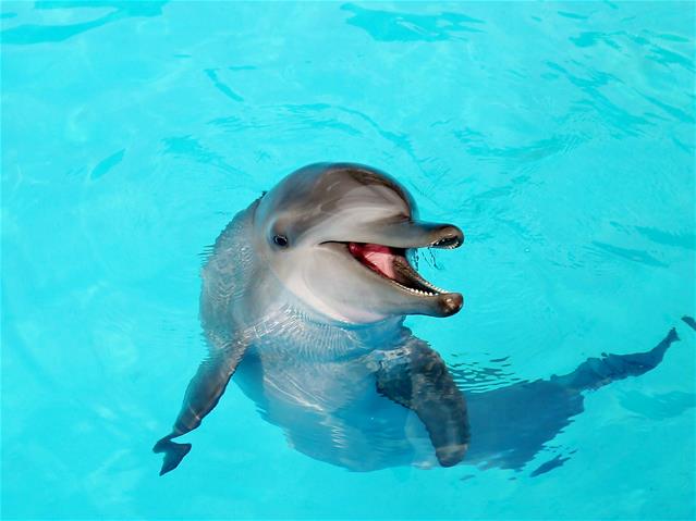 Yehliu Ocean World