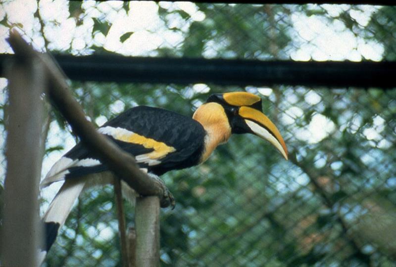 Fonghuanggu Bird and Ecology Park