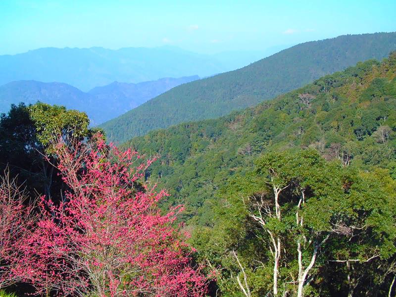 Tengzhi National Forest Recreation Area