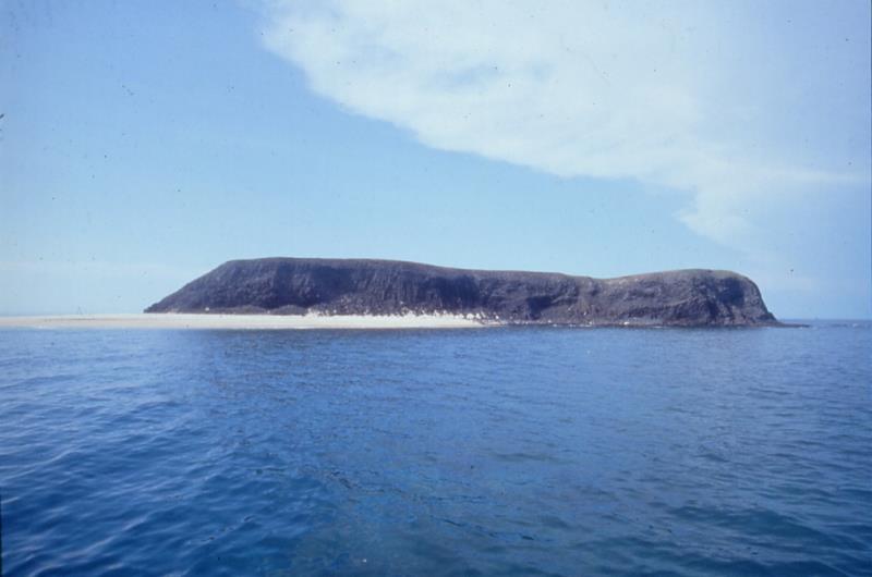 Xiaobaisha Island