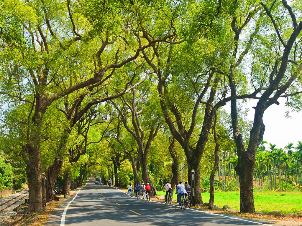 Green Tunnel