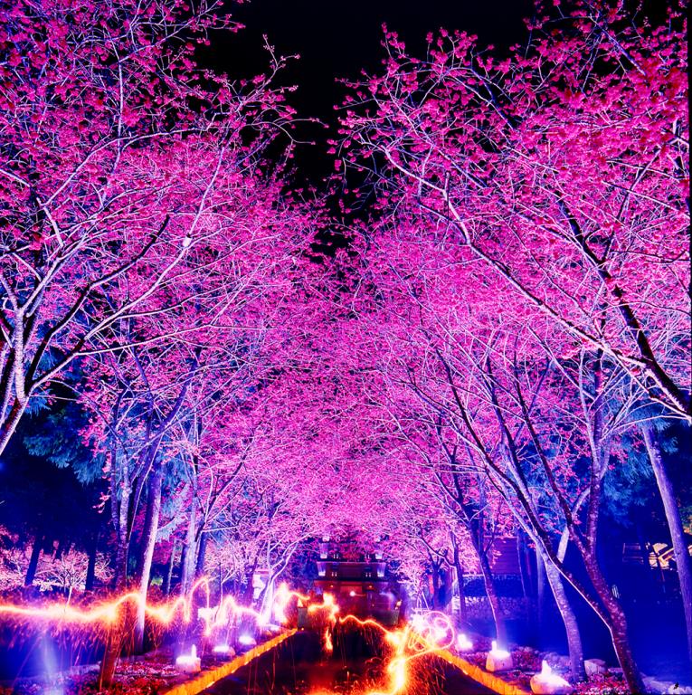 Formosan Aboriginal Culture Village