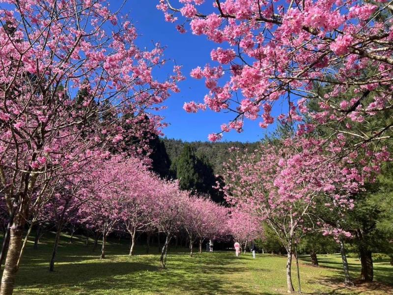 #風管處走透透｜ 粉色風暴來襲！2026 <a href=' ...