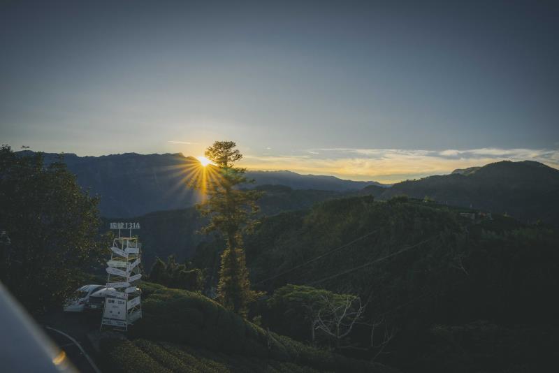 #風管處走透透｜四季茶旅 阿里山秋季茶會白露時節，山嵐輕起邀 ...