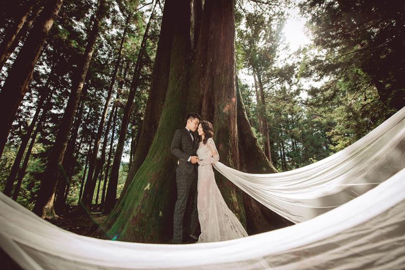 2019 Love in Alishan ─ Wedding under Sacred Tree