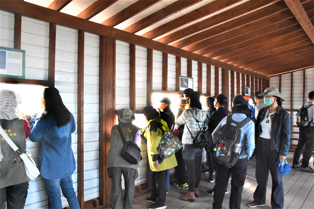 Viewing birds at the Qigu Dingshan Birdwatching Pavilion  Year：2023  Source：Southwest Coast National Scenic Area Administration