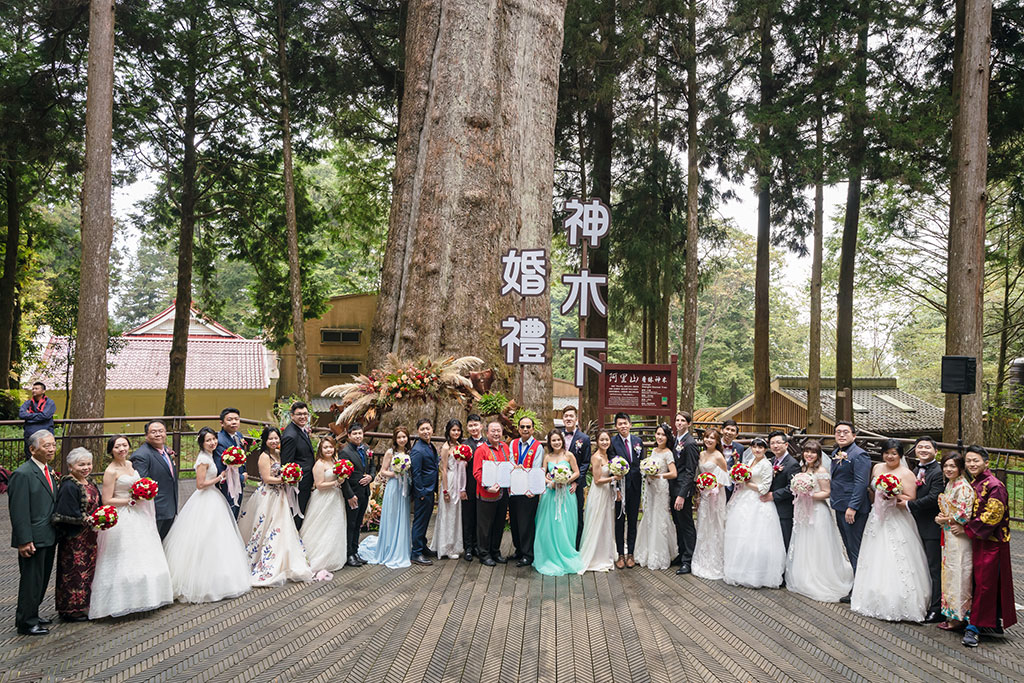 Wedding Under The Alishan Divine Tree  Year：2019  Source：Alishan National Scenic Area Administration
