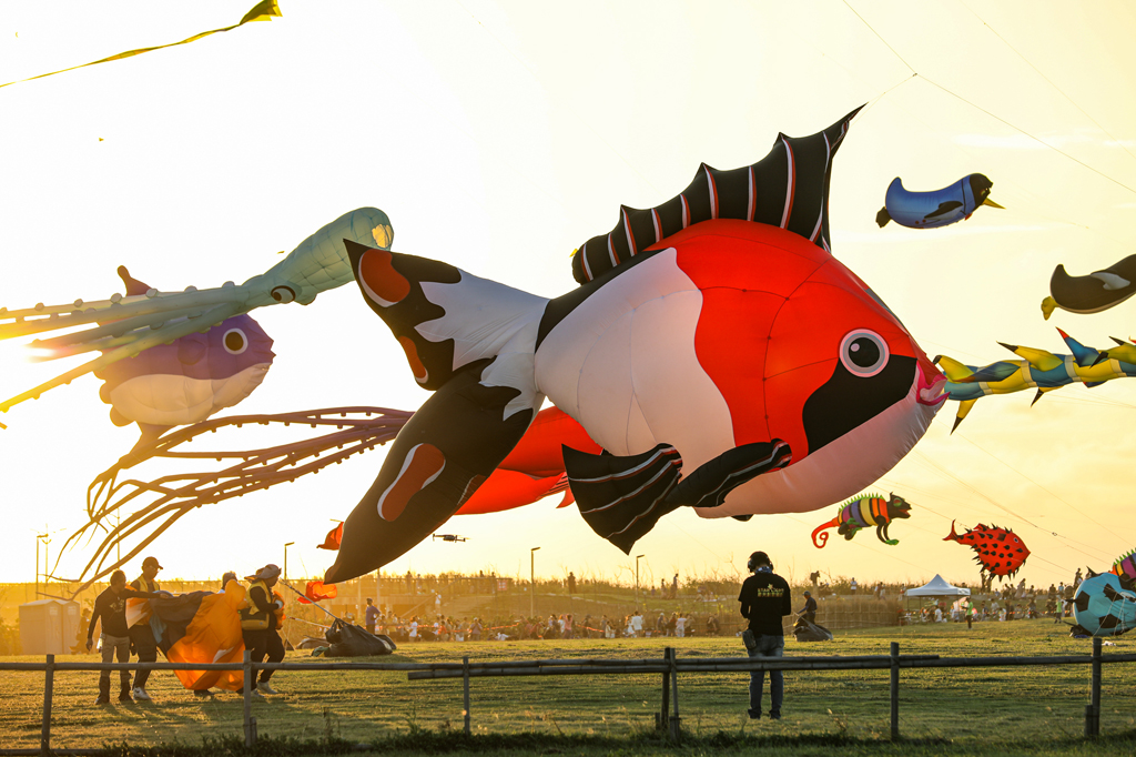 The 2023 Hsinchu City International Kite Festival  Year：2023  Source：Hsinchu City Government