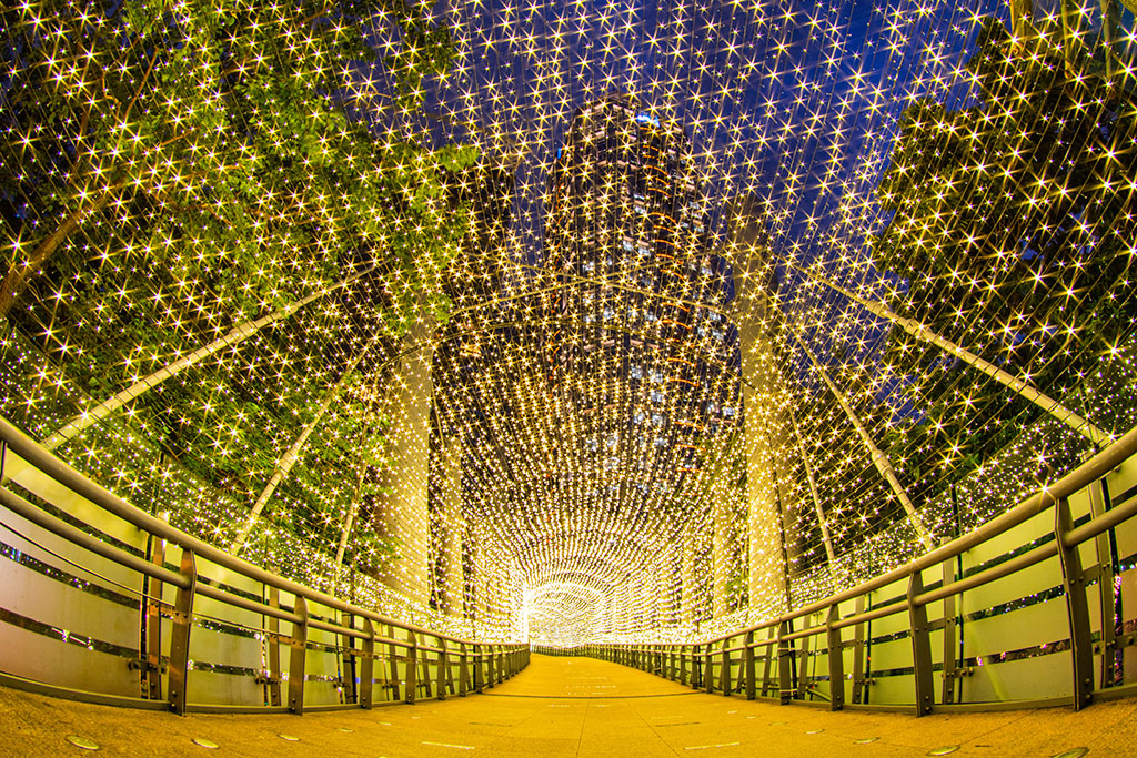 Light Tunnel - Yellow  Year：2019  Source：Tourism and Travel Department, New Taipei City Government