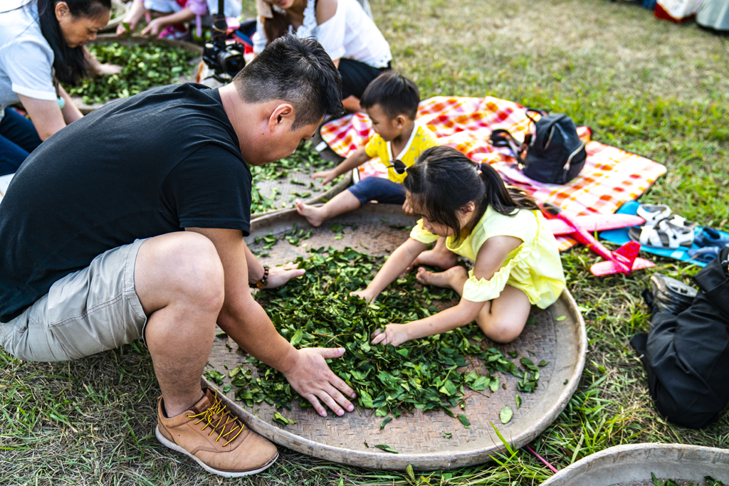 Rolling Tea  Year：2019  Source：Nantou County Government