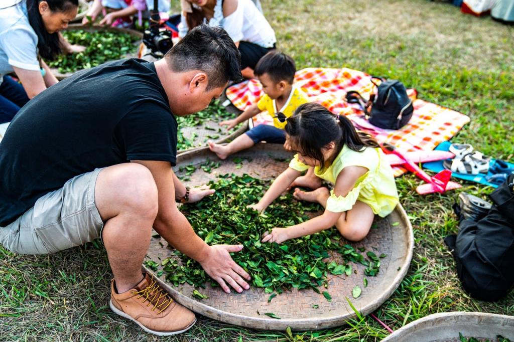 Rolling Tea  Year：2019  Source：Nantou County Government