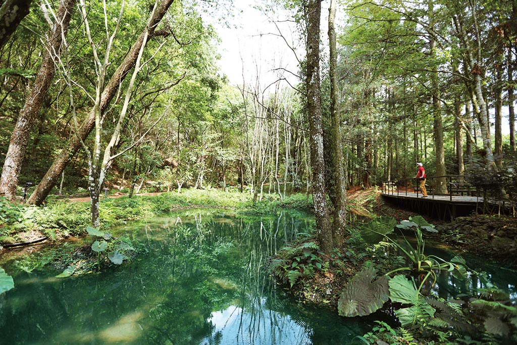 Ecological Pond Ecological Pond