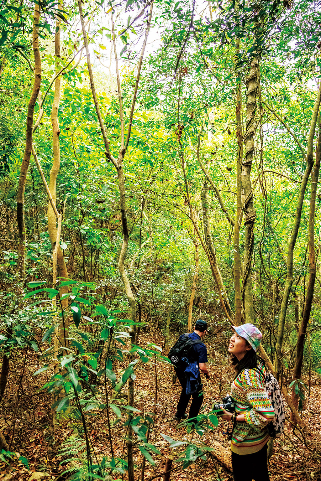 Maolin National Scenic Area