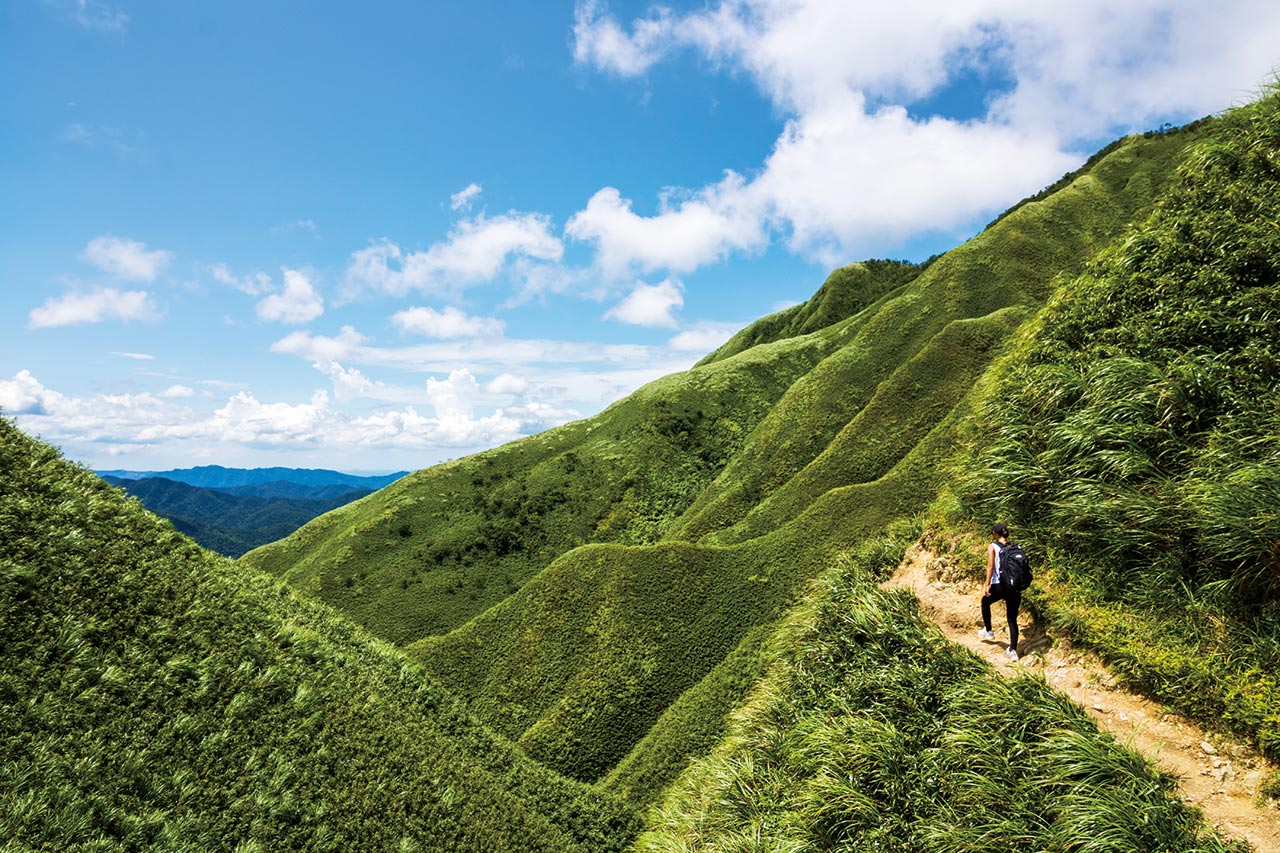 Green Tea slopes Green Tea slopes