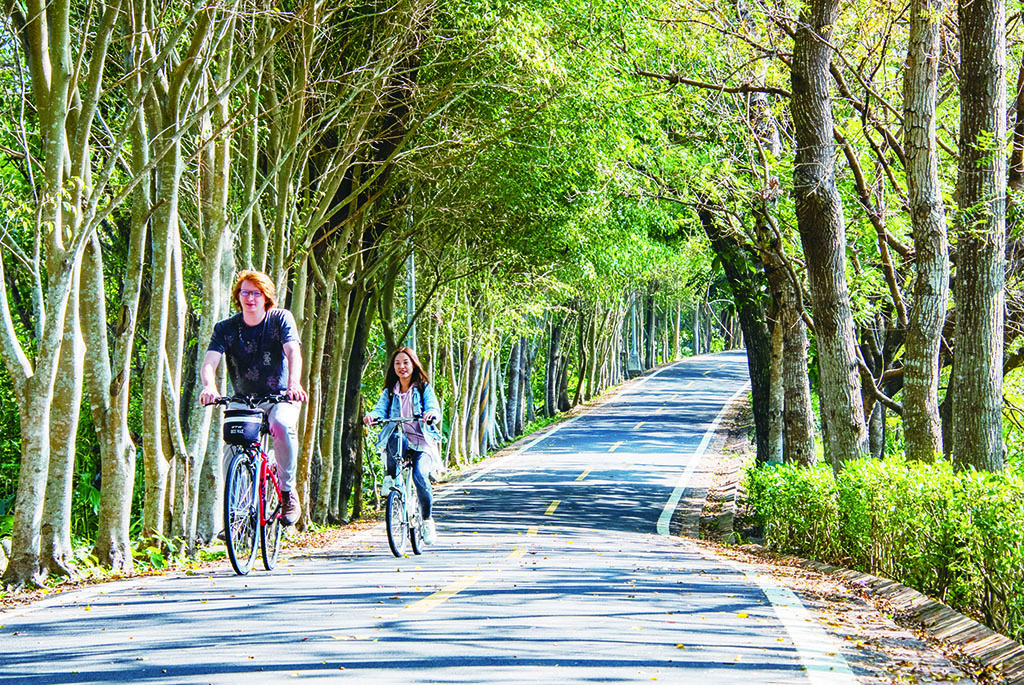 Dongfeng Bicycle Green Way Dongfeng Bicycle Green Way