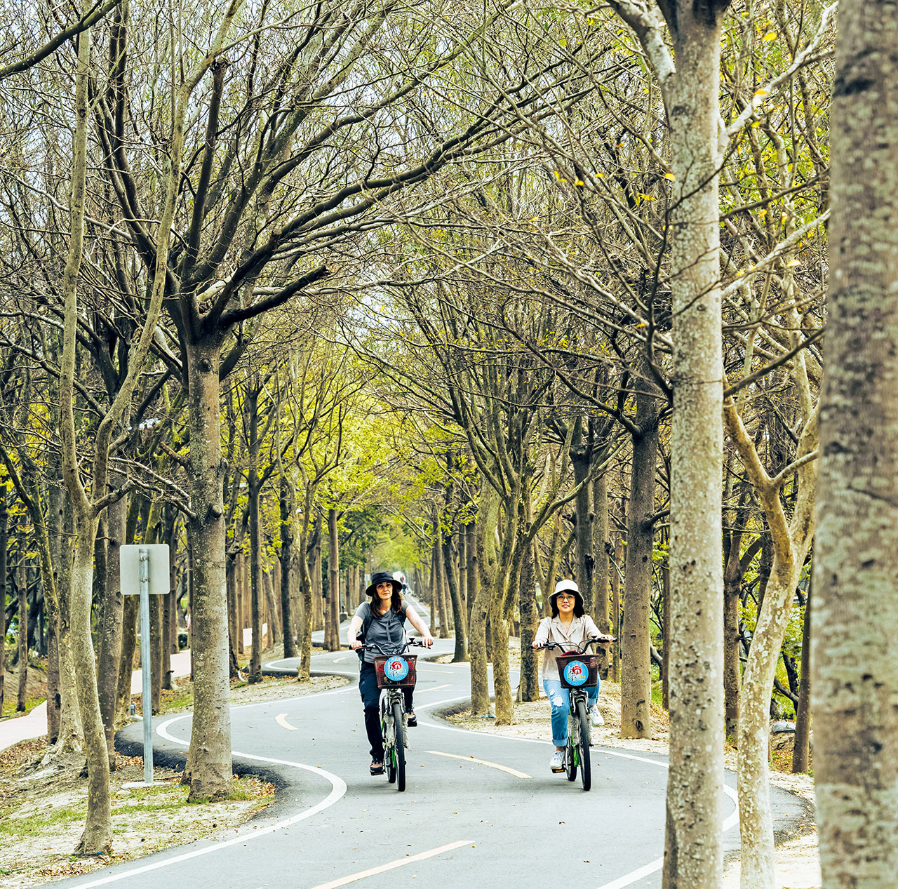 Tanyashen green bikeway