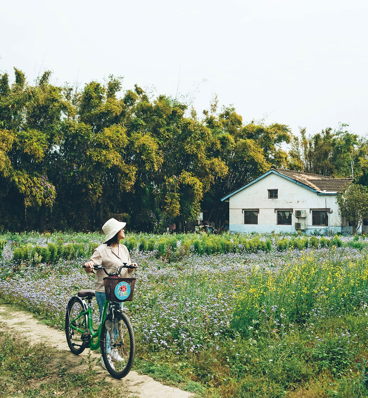 Rural scene in Daya District