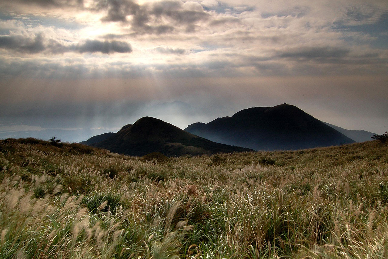 Silbergras auf dem Datun Berg