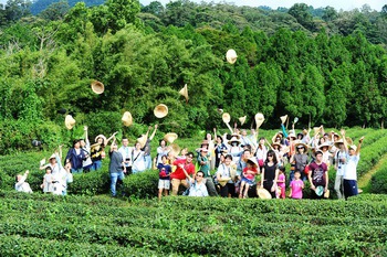 Shakeng Tea Farm